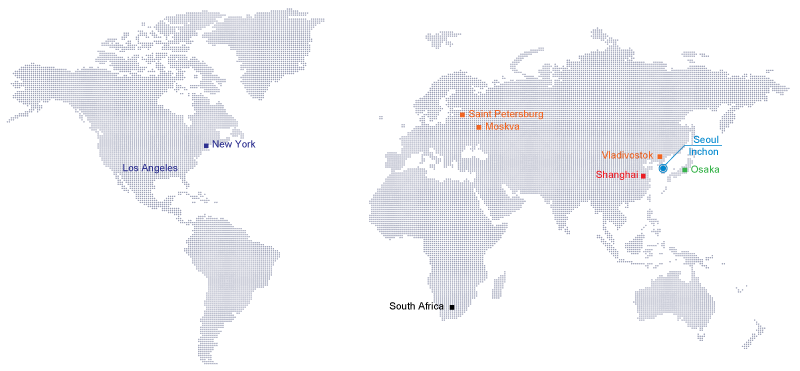 International Project Portfolio